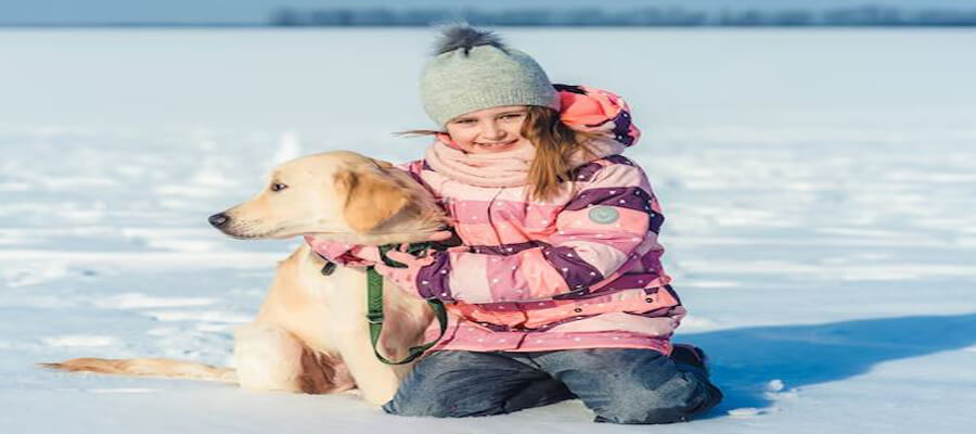 7 Ways to Make Winter Walks Fun for Your Dog